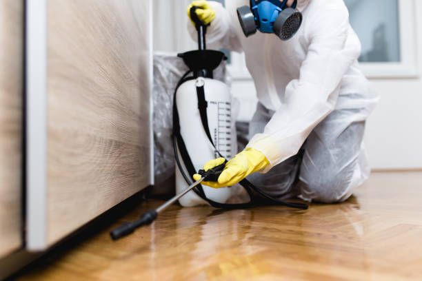 Best Flea Control Services  in Greenback, TN