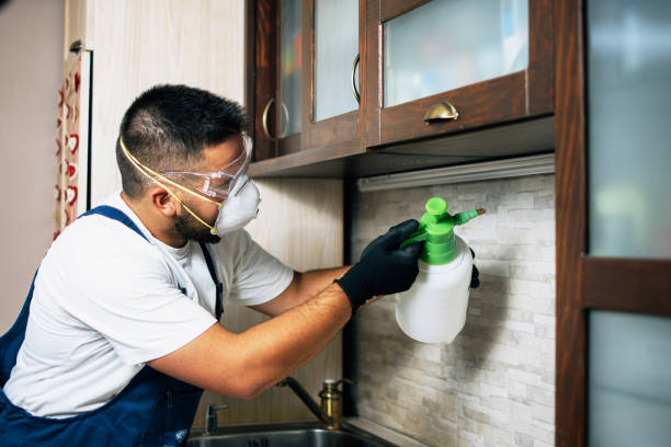 Pest Control for Restaurants in Greenback, TN