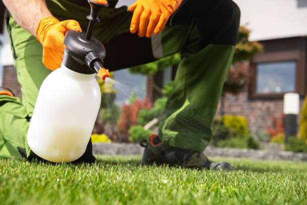 Best Pest Removal Services  in Greenback, TN