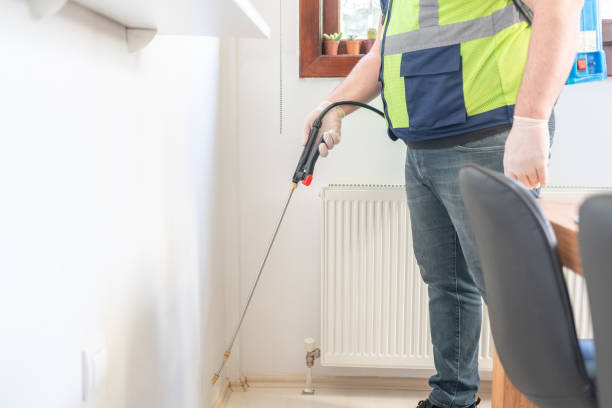 Professional Pest Control in Greenback, TN