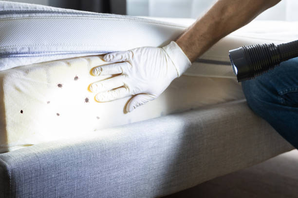 Best Residential Pest Control  in Greenback, TN