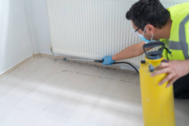 Best Local Pest Control Services  in Greenback, TN