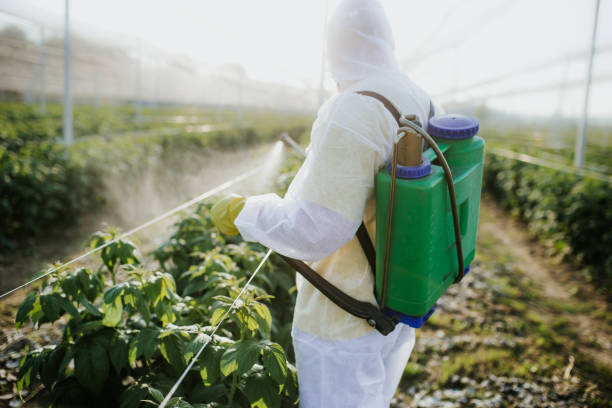 Best Affordable Pest Control Services  in Greenback, TN